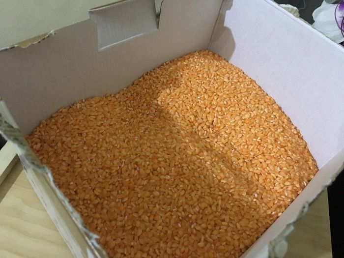 Arroz 3