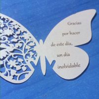 Llegaron mis mariposas... y pense que serian mas grandes... - 1