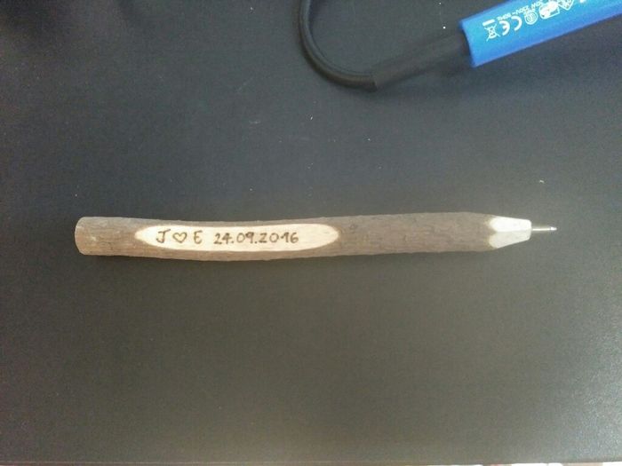 Bolis troncos encontrados!!! - 2