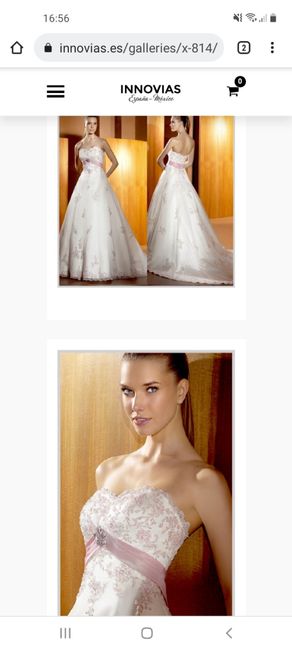 Dilema con el vestido - 1