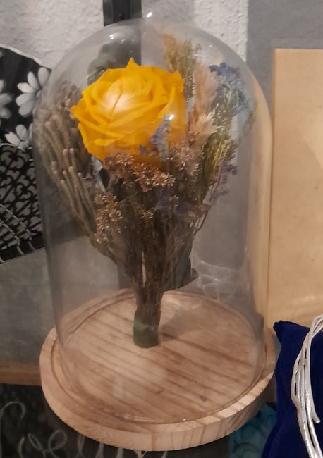 La vitrina del amor 13