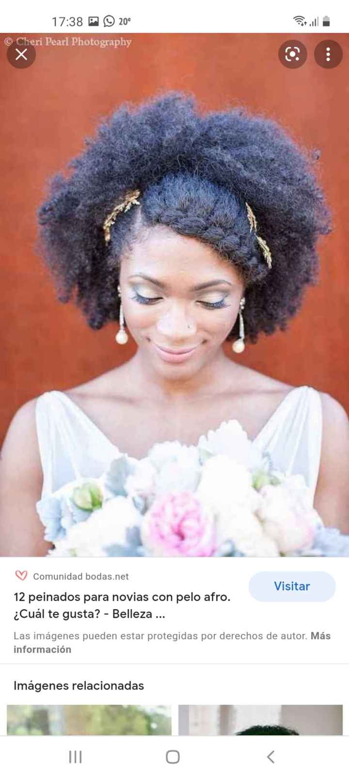 Novia con pelo Afro - 1