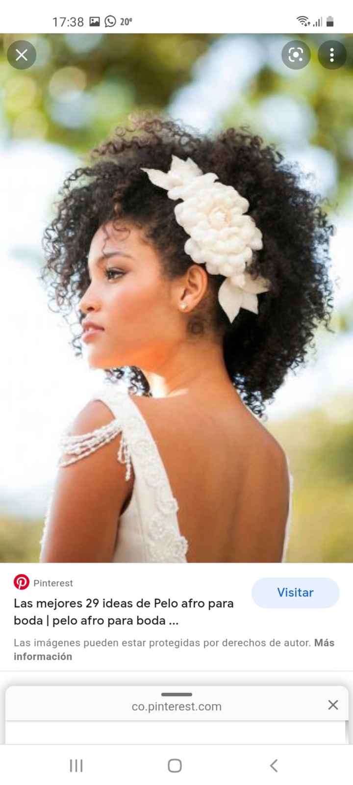 Novia con pelo Afro - 2