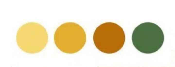 Paleta de colores 🎨 - 17