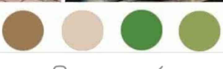 Paleta de colores 🎨 - 19