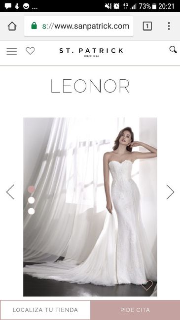 Vestido elegido - 1