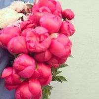 flores! LE VOY ENVIAR FLORES! ya q él a mi....pocas