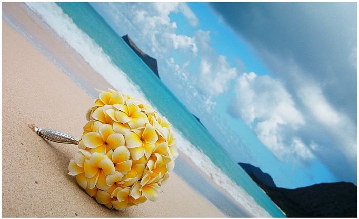Plumerias amarillas