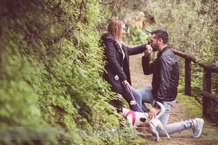 Fotos preboda - 4