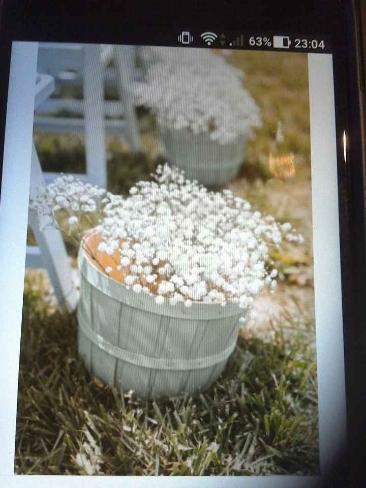 Macetas con paniculata