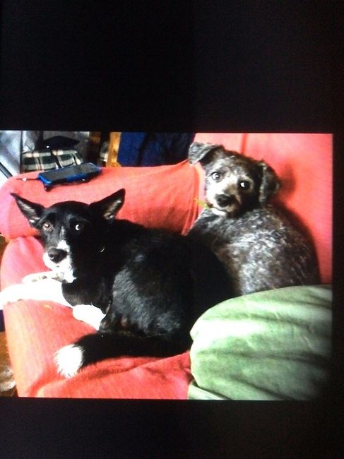 Luca y Goso
