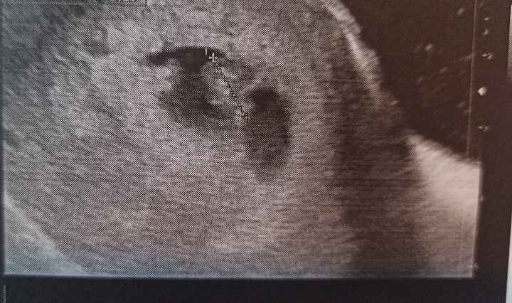 Futuras mamas octubre 2020 - 1