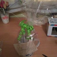 Mis kits para testigos - 4