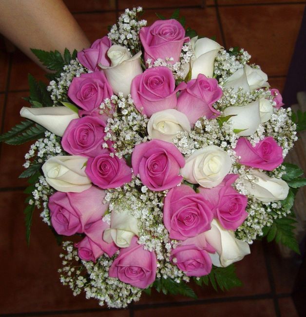 ramo 2