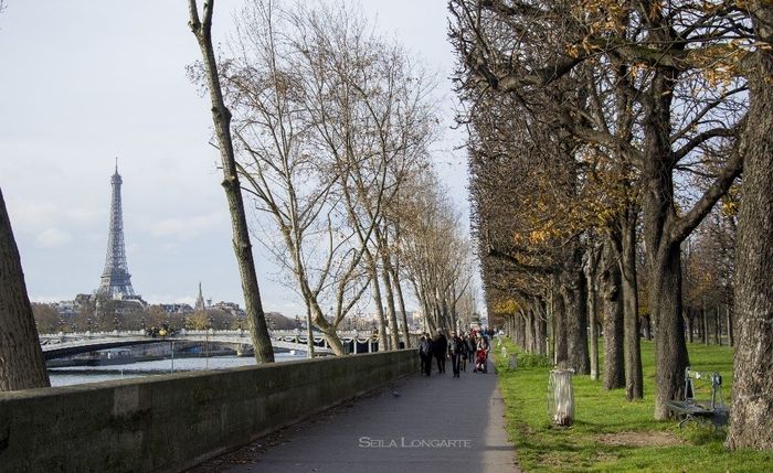 Mi viaje sorpresa de pedida - Paris