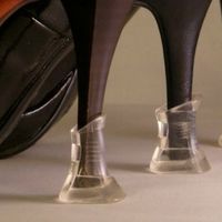 TIPO DE PRTECTOR