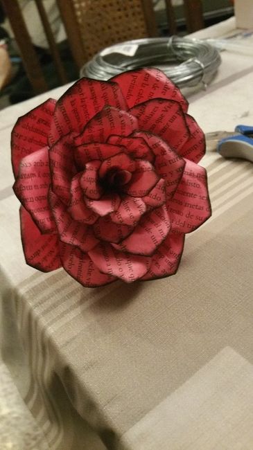 rosa roja 2