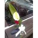 adorno para coches 