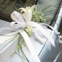 adorno para coches 
