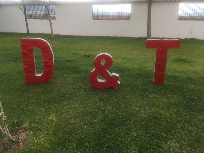 El día más perfecto de mi vida: mi boda - 9