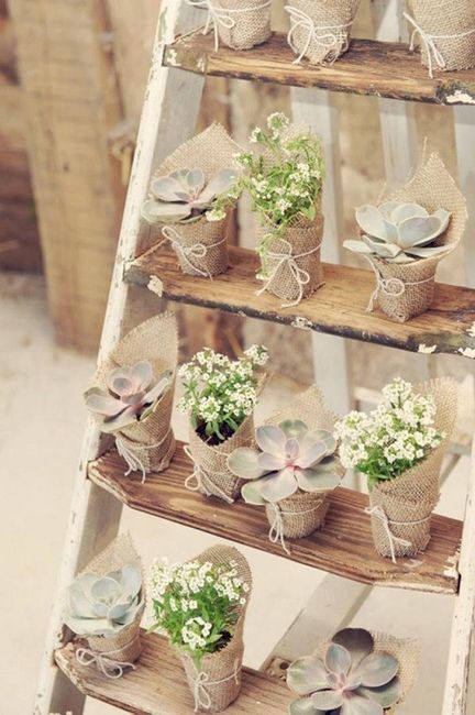 Detalles