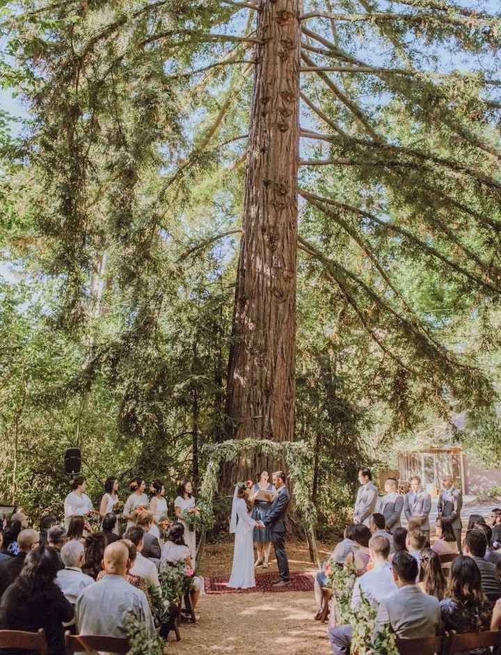 Boda bosque