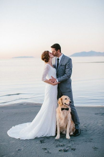 7 photos de mariage avec un chien.. De quoi fondre ! 😍 2
