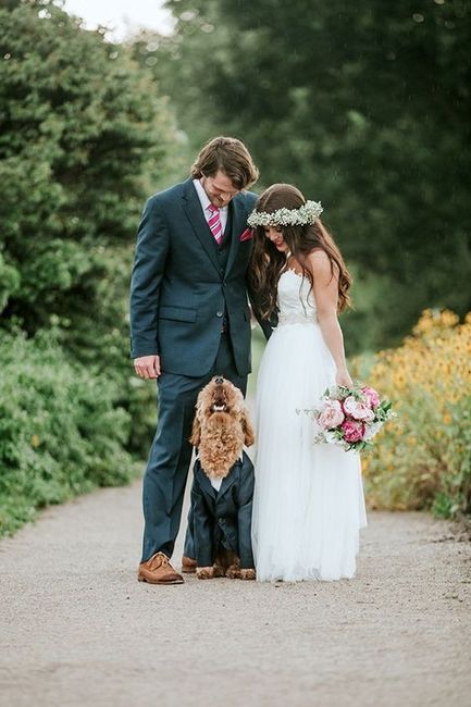 7 photos de mariage avec un chien.. De quoi fondre ! 😍 5