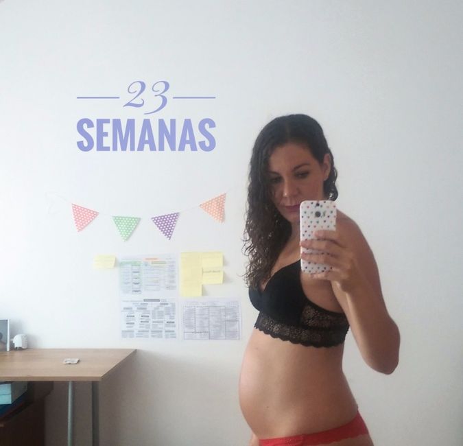 23 semanas