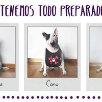 Invitación por delante