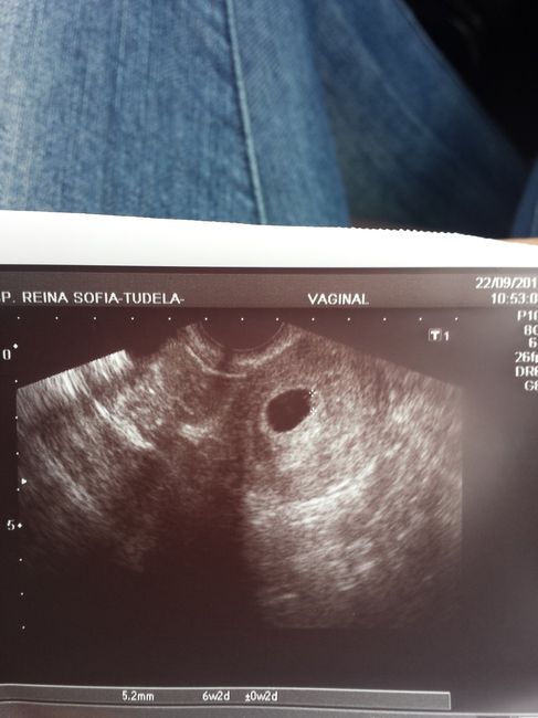 Mayo 2015, mes de las flores, mes de las madres - 9