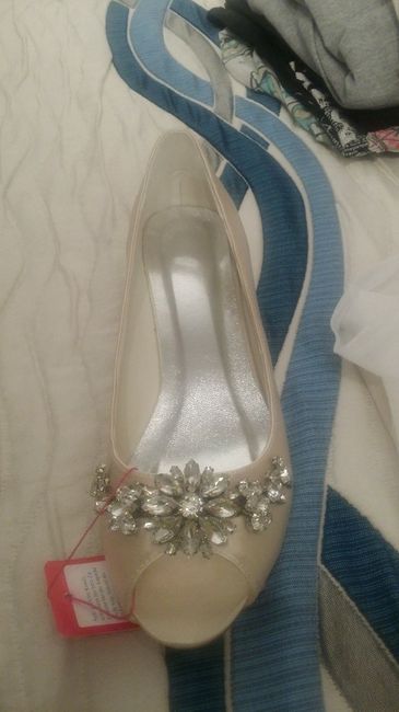 zapato plano