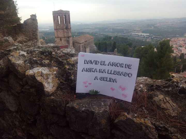cartel anika