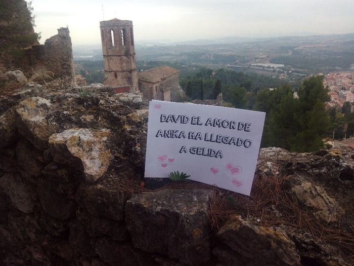 cartel anika