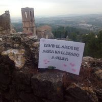 cartel anika