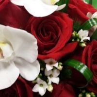 Nuestros ramos de novia ¡¡¡¡¡¡ - 1