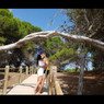 Lorena