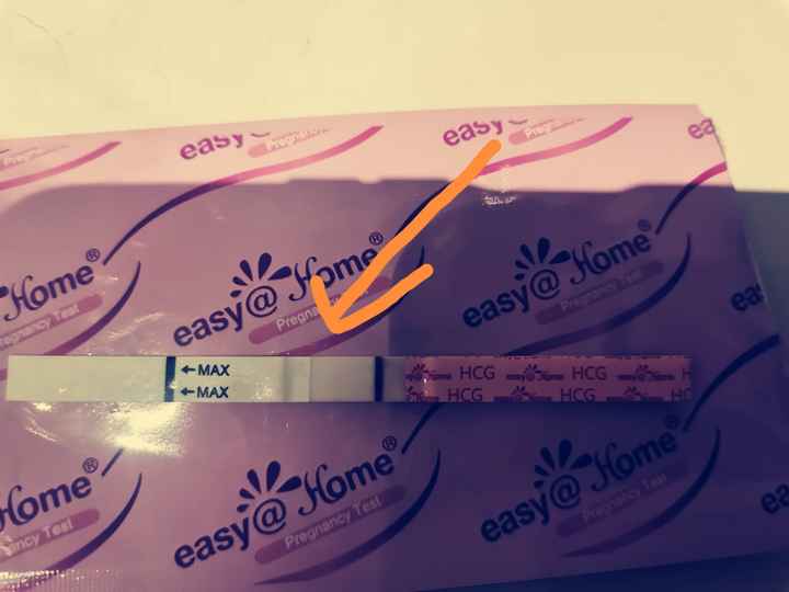 8Dpo ¿sombra positivo - 1