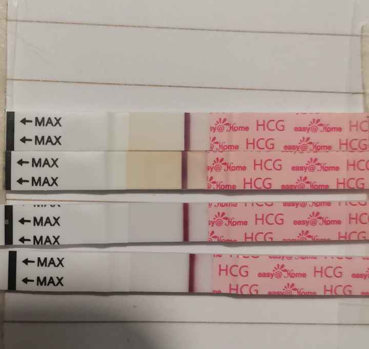 8Dpo ¿sombra positivo - 1