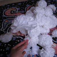 pompon seda