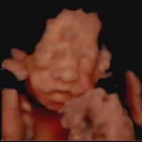mamis noviembre 2019 oficial - 1