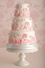 tarta 5
