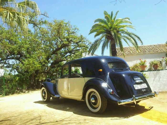 ¿que coche de boda chicas? - 2
