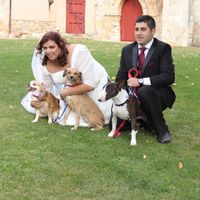 Por fin tenemos las fotos - 4