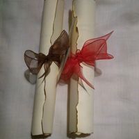 ¿En qué temática o en qué color está inpirada vuestra boda? - 1