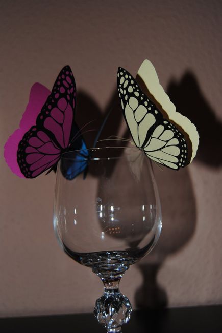 Mis mariposas