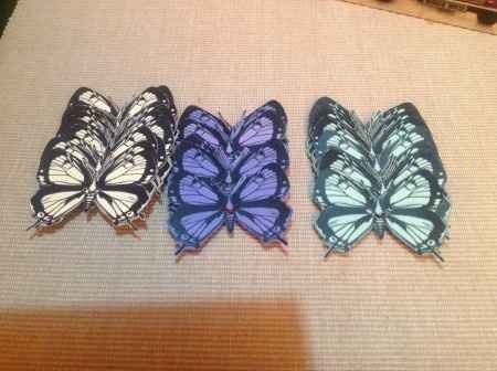 Mis mariposas