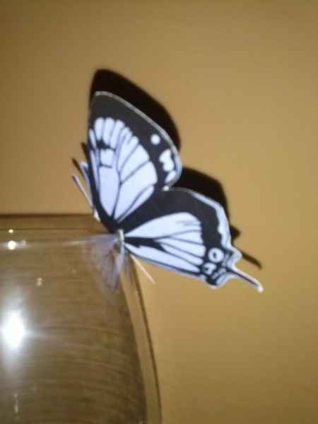 Mariposa