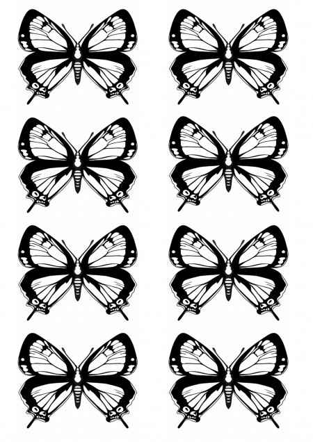 mariposas-8