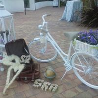 Mi carro chuches alicante - 4